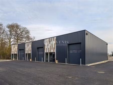 vente local d’activités pleumeleuc 35137 151m² à 548m²