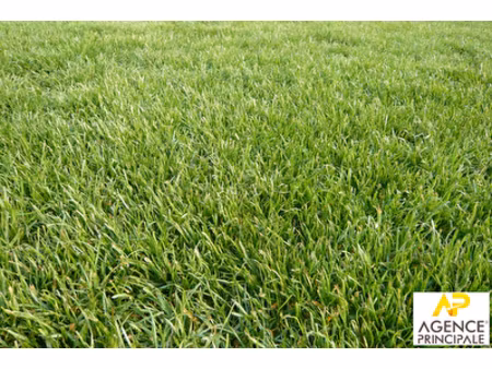 terrain conflans sainte honorine 1340m2