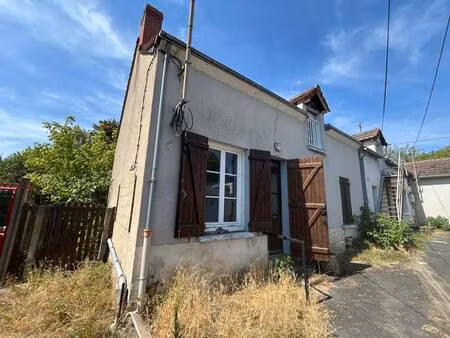 vente maison 2 pièces 41 m² descartes (37160)