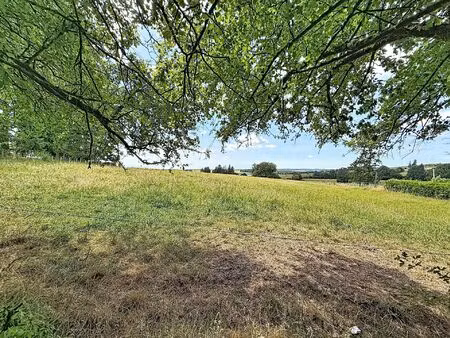 terrain à vendre de 3103 m² à sainte-ode (vbe43816)
