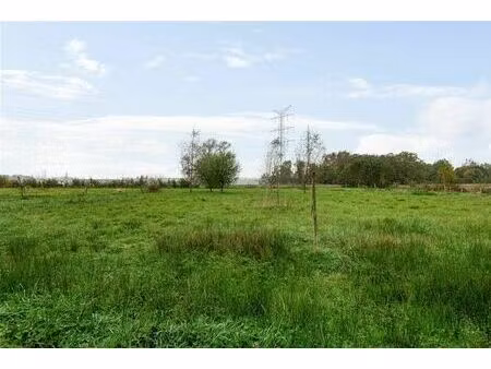 terrain agricole à vendre à babbelkroonstraat 7 kontich (rbw39709)