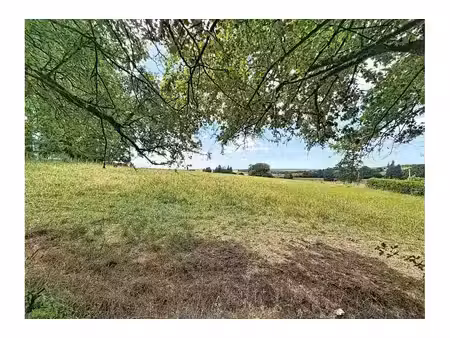 terrain à vendre de 3103 m² à sainte-ode (vbe43816)