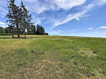 terrain à vendre de 2684 m² à sainte-ode (vbe43815)