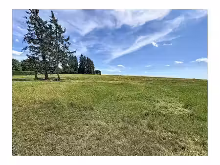 terrain à vendre de 2684 m² à sainte-ode (vbe43815)