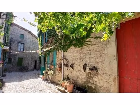 achat : maison (34210)