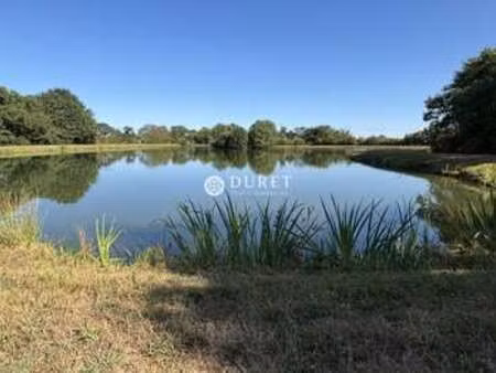 vente terrain à gétigné (44190) : à vendre / 44458m² gétigné