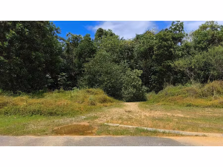 vente terrain