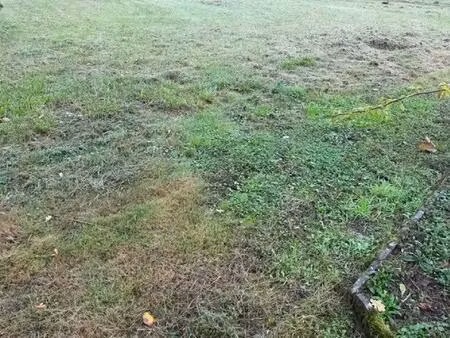 vente terrain 790 m² candé (49440)