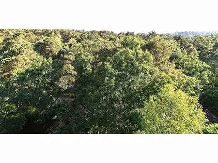 maison avec jardin et terrasse noisy-sur-ecole (77)