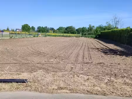 terrain à bâtir de 10 ares deux-acren grammont lessines