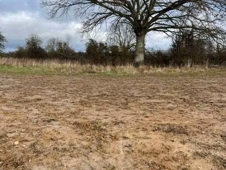 terrain constructible à vendre