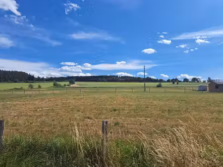 terrain à bâtir de 999m² - vielsam (lierneux)