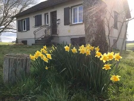 maison à louer
