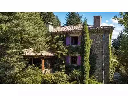vente propriété 15 pièces 290 m² à mariac (07160)  520 000 €