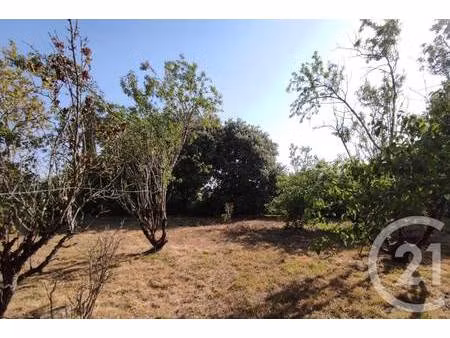 terrain constructible à vendre