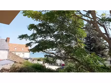 epidora