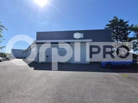smartbuy