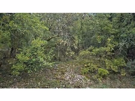 terrain constructible viabilisé à vendre