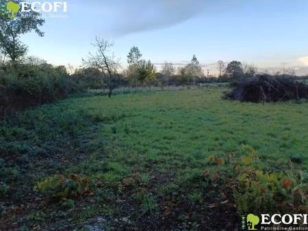 terrain à vendre