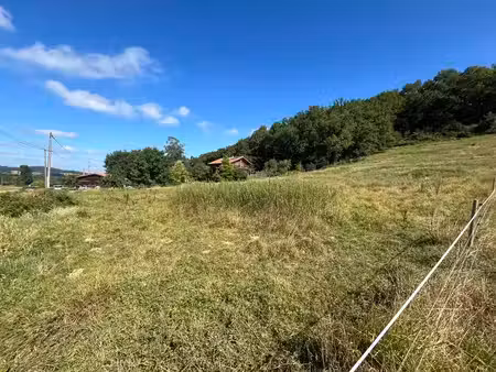 vente terrain 1531 m² peyraube (65190)