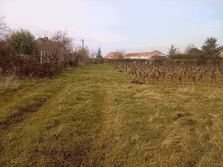 terrain constructible viabilisé à vendre