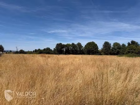 valdor l agence immobiliere