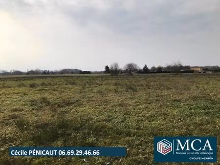 terrain constructible viabilisé à vendre