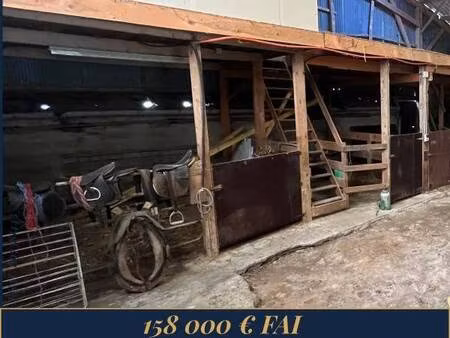 lgm immobilier