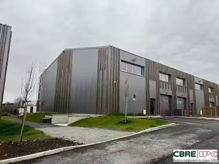 entrepôt à louer