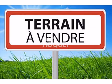 terrain