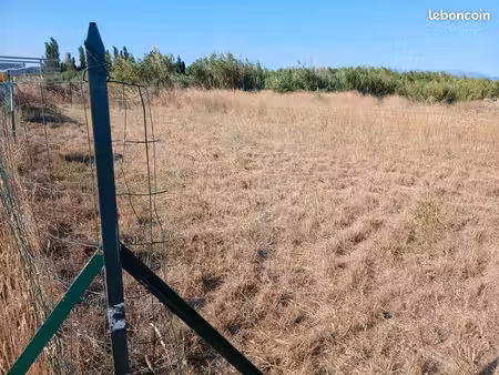 terrain potager / agricole