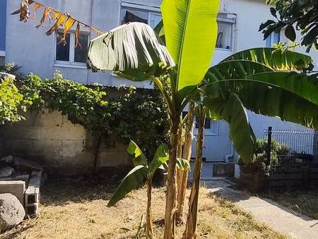 immeuble à vendre