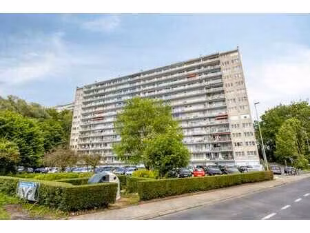 appartement à rénover avec vue imprenable