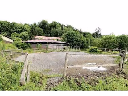 ferme équestre à vendre
