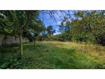 terrain à vendre