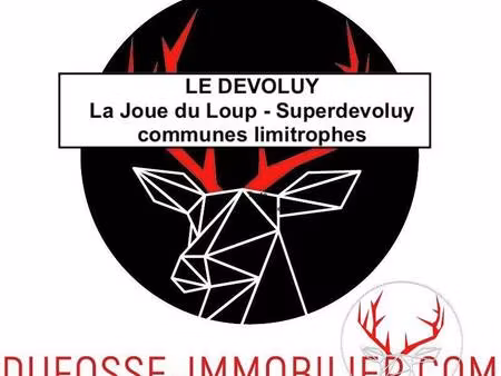 dufosse immobilier