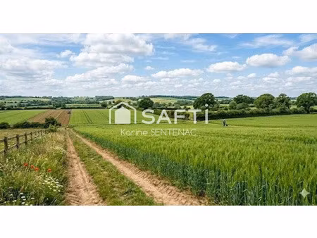 vente terrain 16510 m² à mouterre-silly (86200)  20 100 €