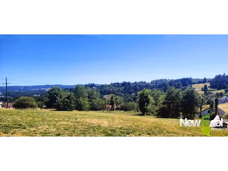 vente terrain 10091 m² à tulle (19000)  40 000 €