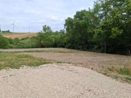 vente terrain à avignonet-lauragais (31290) : à vendre / 1646m² avignonet-lauragais