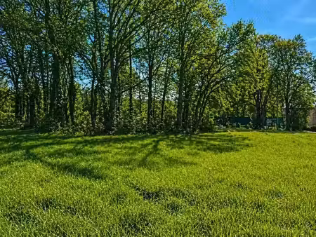vente terrain 1600 m² à petit-bersac (24600)  9 500 €