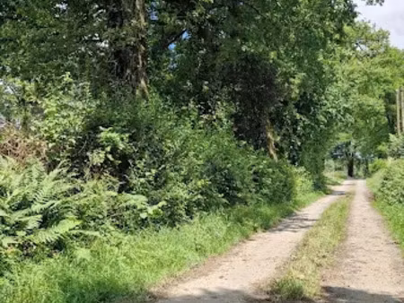vente terrain 4134 m² à lubersac (19210)  32 000 €