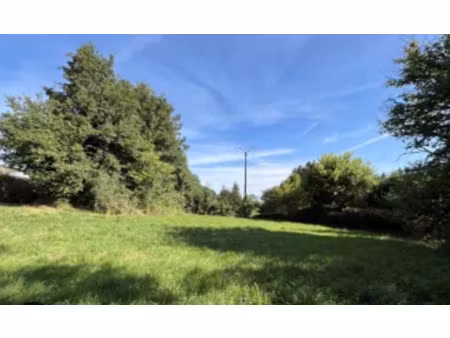 vente terrain 500 m² à ferrière-la-grande (59680)  41 500 €