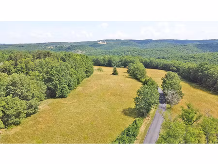 vente terrain 5580 m² à la cassagne (24120)  75 000 €