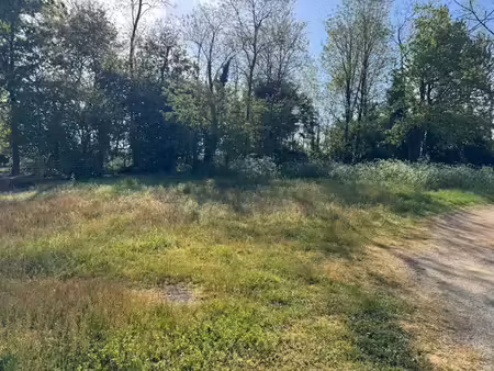 vente terrain 576 m² à lesparre-médoc (33340)  49 000 €