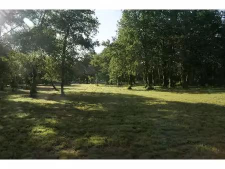 vente terrain 3960 m² à saint-vivien-de-médoc (33590)  78 600 €