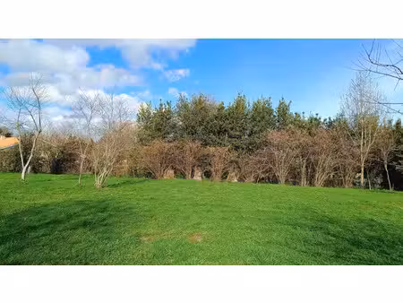 vente terrain 1000 m² à talais (33590)  77 000 €
