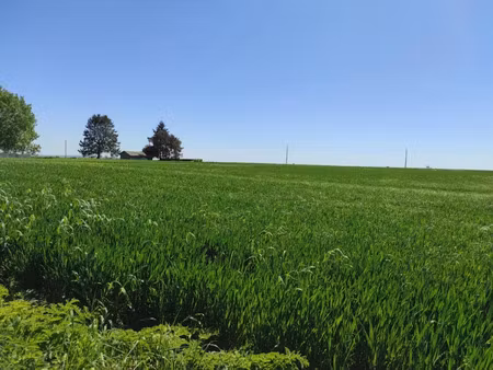 vente terrain 1276 m² à les thilliers-en-vexin (27420)  50 000 €