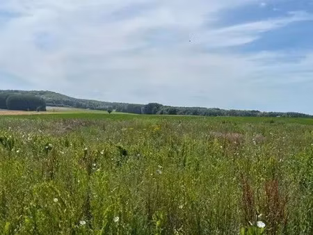 vente terrain à batir 3744 m² à noyon (60400)  66 000 €