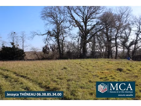 vente terrain 3406 m² à préchacq-les-bains (40465)  69 000 €
