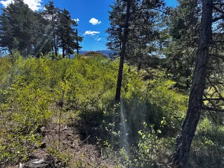 vente terrain 2310 m² à la martre (83840)  80 000 €